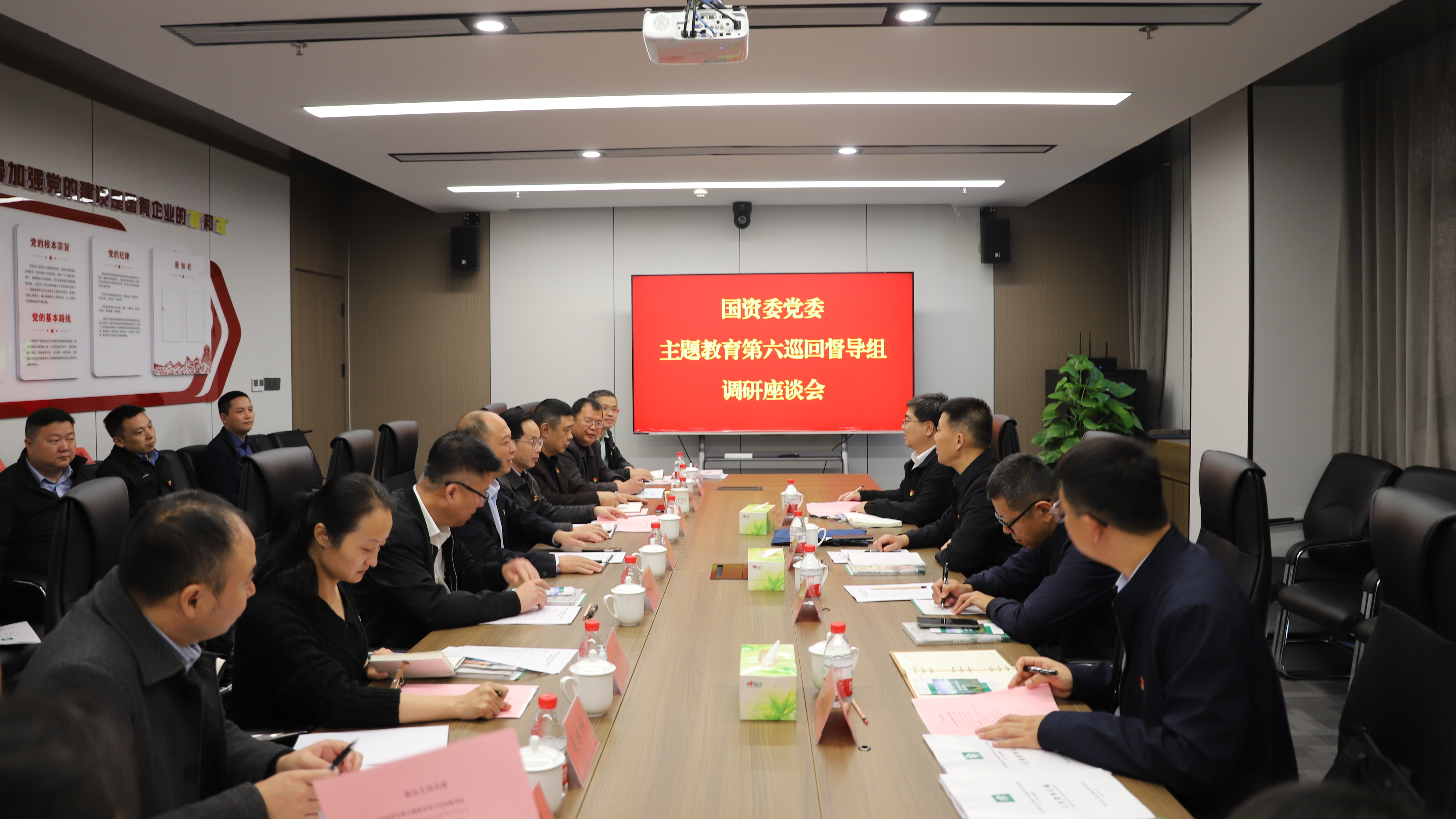 国务院国资委党委主题教育巡回督导组调研重庆林投第二批主题教育