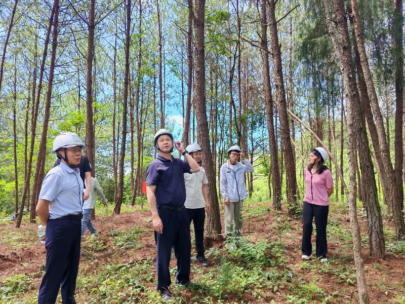 重庆林投公司领导带队开展安全生产大检查