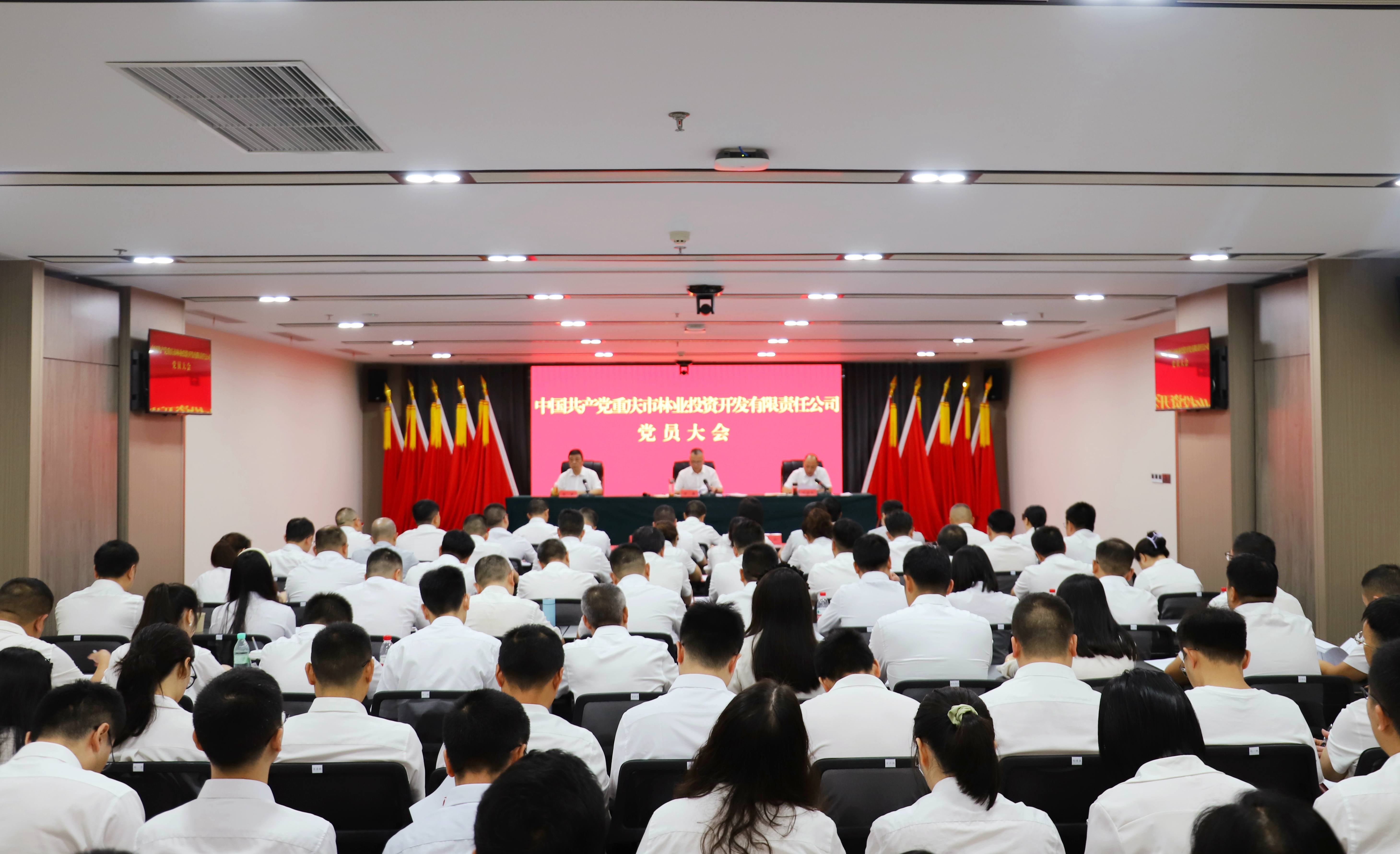 重庆林投公司党委召开党员大会圆满完成党委...