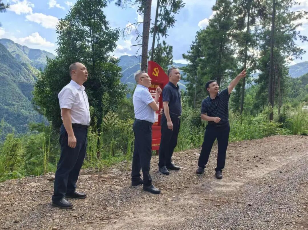 罗廉向国伟调研巫溪国储林建设并开展工作对...