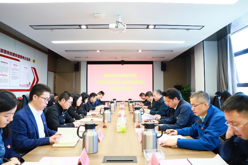 重庆林投公司组织开展“缅怀革命先烈 传承红色基因”主题党日活动