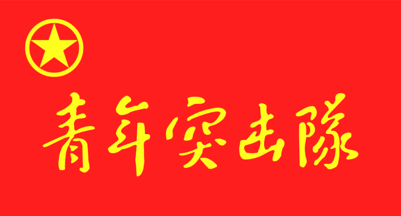 全国优秀！团中央青发部表扬中林集团“国储林”青年突击队